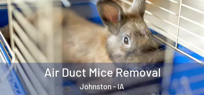 Air Duct Mice Removal Johnston - IA