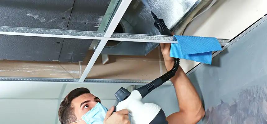 Our Air Duct Rodent Removal Services in Johnston, IA