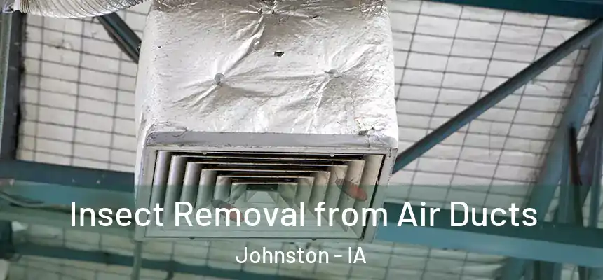  Insect Removal from Air Ducts Johnston - IA
