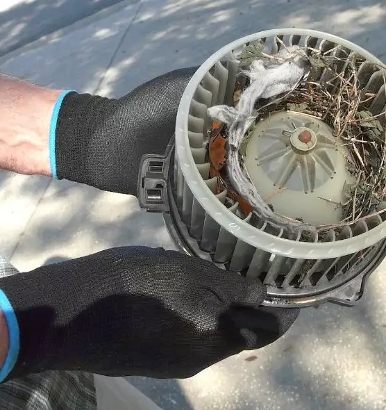 About Air Duct Mice Removal in Johnston, IA