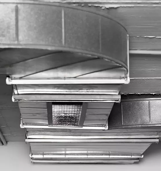 Professional Air Duct Pet Hair Removal in Johnston, IA