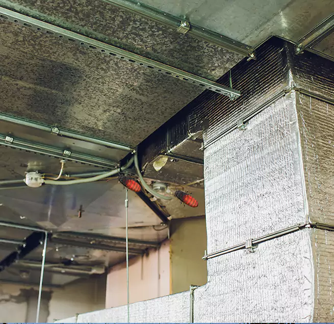 Why Homeowners & Businesses Trust Us in Johnston, IA?