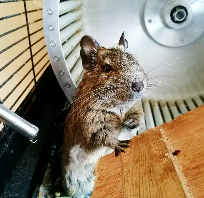 Why Homeowners & Businesses Trust Us Johnston, IA